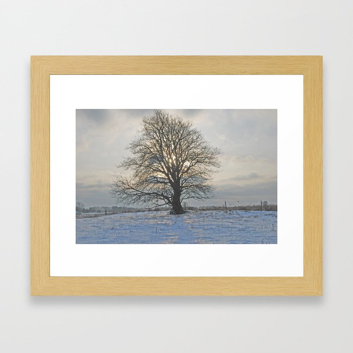 Tree Framed Art Print