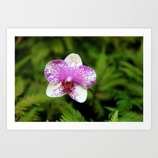 Flower Art Print