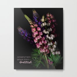Contentment Grows from Gratitude Metal Print