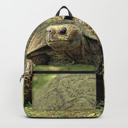 Giant Turtle Walking Portrait Backpack