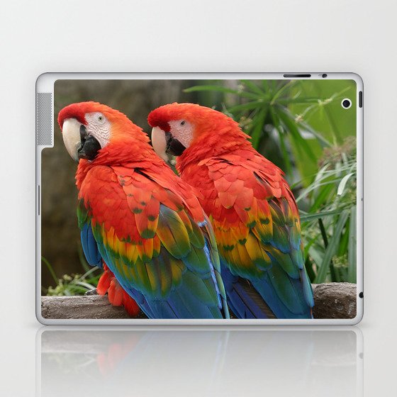 Scarlet Macaws Laptop & iPad Skin