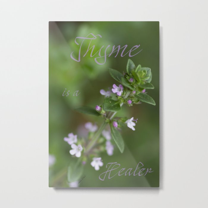 Thyme is a Healer Metal Print