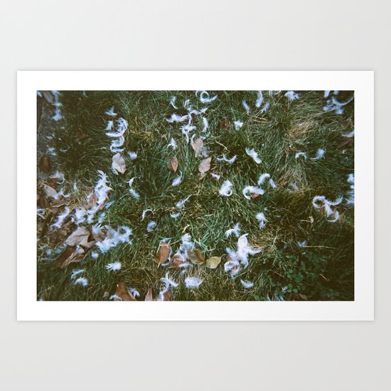 Doves Art Print