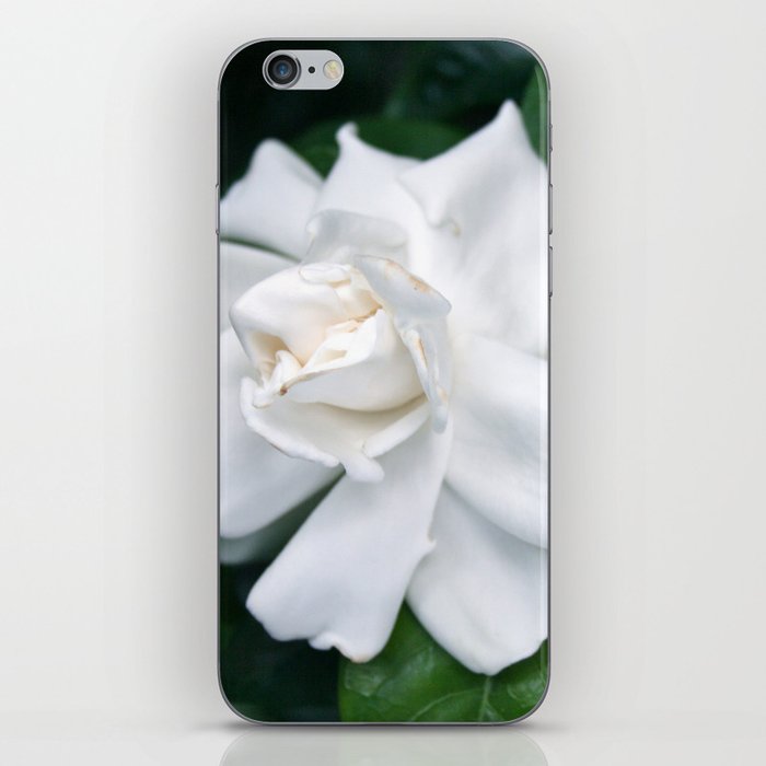 Gardenia iPhone Skin