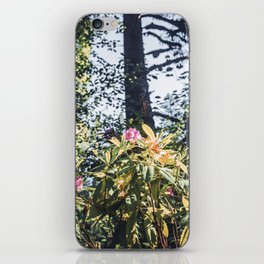 Flowers in the Forest | Travel Photography | Oregon iPhone Skin