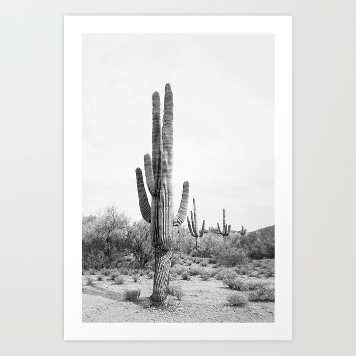 Desert Cactus BW Art Print
