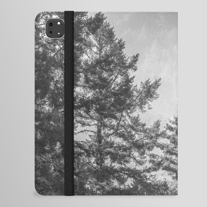 Redwood Park Black and White iPad Folio Case
