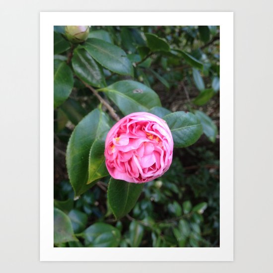 Garden at the Lake Art Print