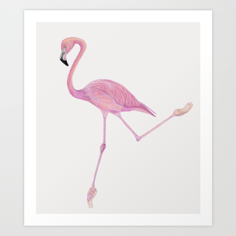 Flamingo Ballet Dancer Flamenco Prefiere Ballet Clasico Art