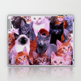 Assorted Cats, kittens Laptop Skin