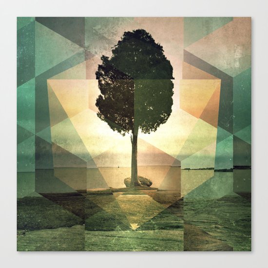 frt phyynyx Canvas Print