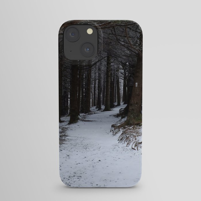 Winter on the AT iPhone Case