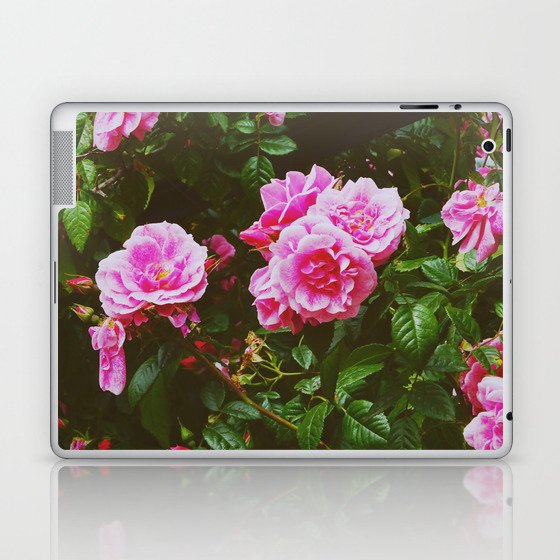Pink Roses Garden - Floral Beauty Laptop & iPad Skin