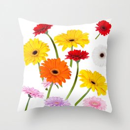Colorful gerbera daisies Throw Pillow