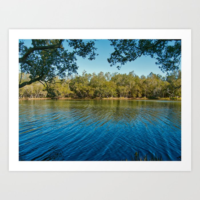Pourmalong Creek, Lake Macquarie Art Print