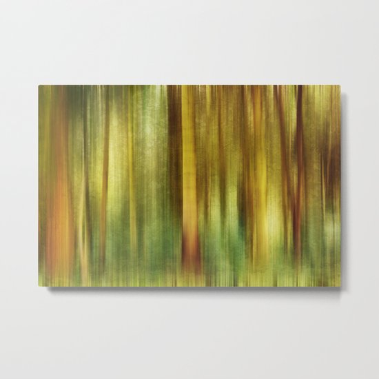 Woodland Walk Metal Print