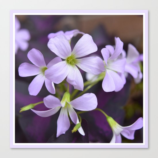 Flower | Flowers | Lavender Petals v2 Canvas Print