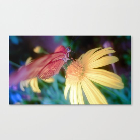 hungry butterfly Canvas Print