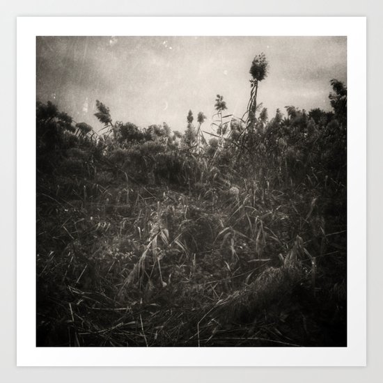 Rushes Art Print