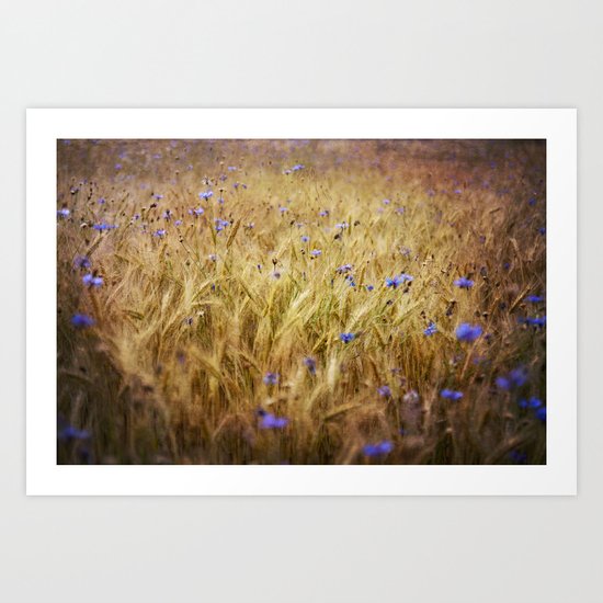 Summer gold Art Print