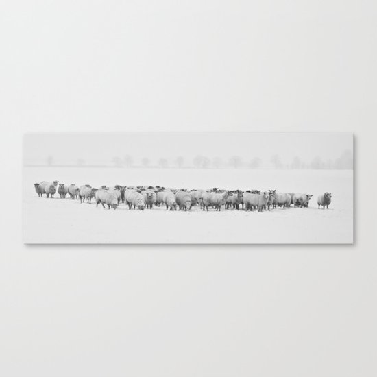 Moutons dans la neige Canvas Print