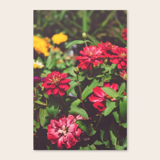 Be Mine Canvas Print