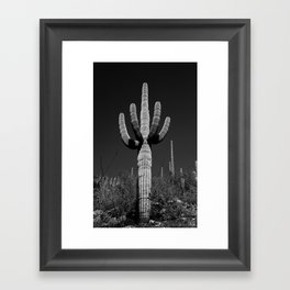 Saguaro Cactus Framed Art Print