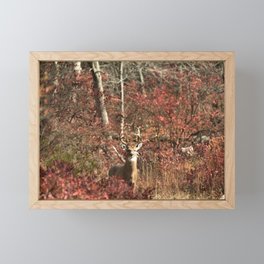 Autumn Buck Framed Mini Art Print