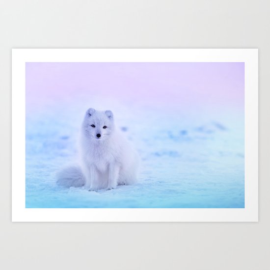 American Eskimo Dog Art Print