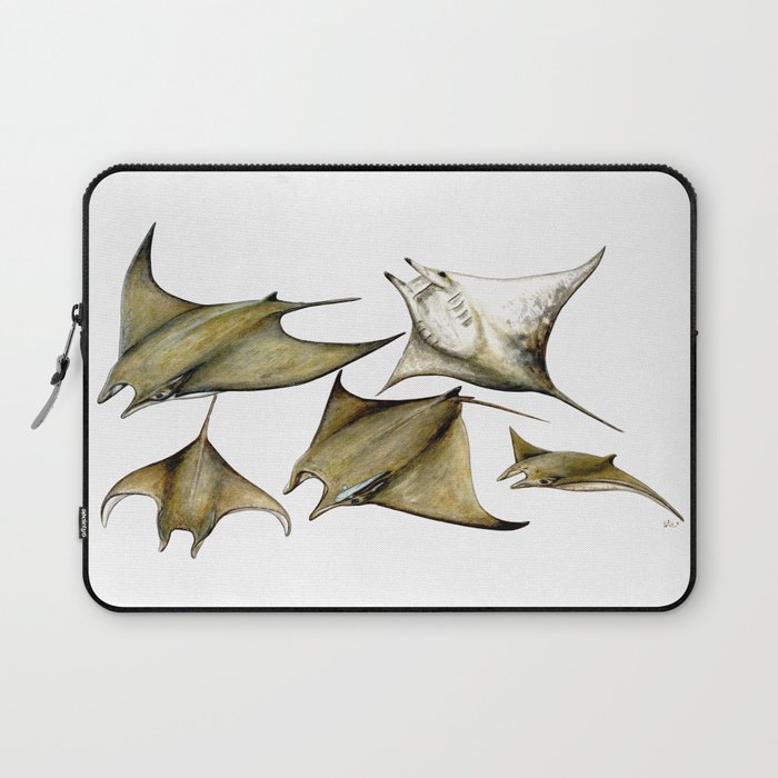 Chilean devil manta ray (Mobula tarapacana) Laptop Sleeve