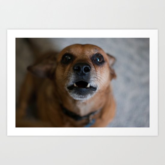 Grizzley Art Print