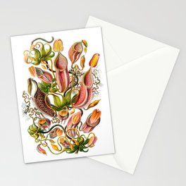 Ernst Haeckel Nepenthaceae Pitcher Plant Stationery Card