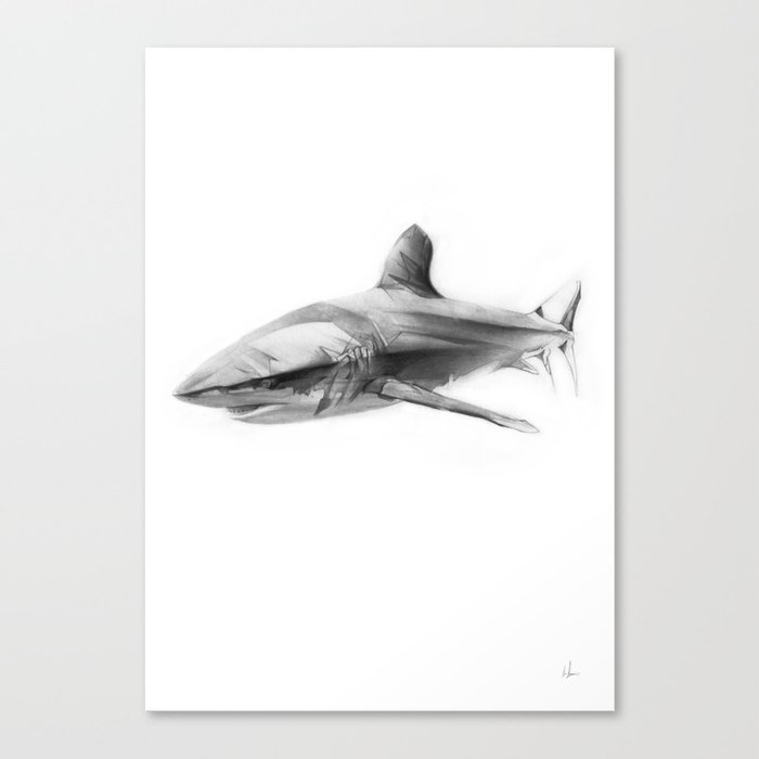 Shark I Canvas Print