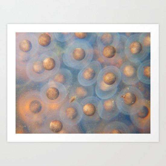 frog eggs Art Print