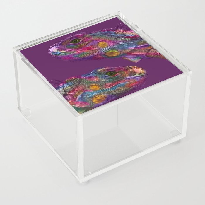 Colorful Bearded Dragons Acrylic Box