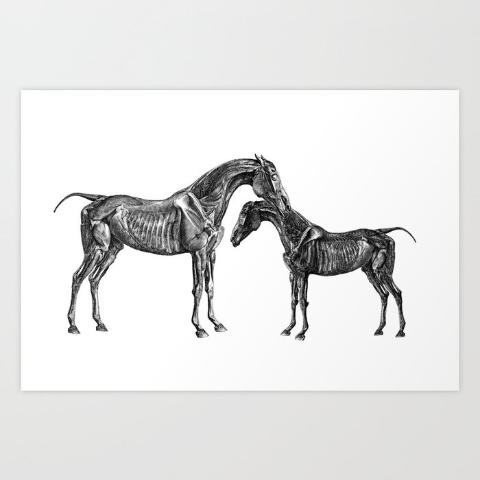 Horsy Horsy Art Print By Ossa Society6
