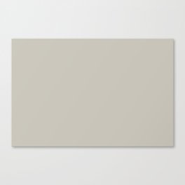 Light Ashen Gray - Grey Solid Color Pairs Rabbit's Ear PPG0999-2 Canvas Print