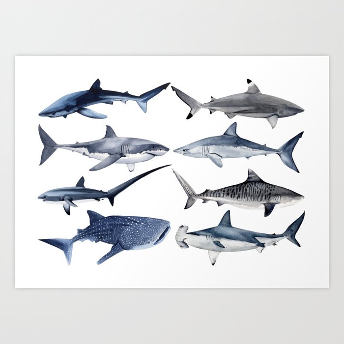 8 SHARKS (navy) Art Print