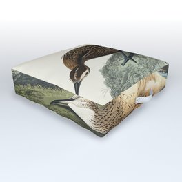 Esquimaux Curlew from Birds of America (1827) by John James Audubon, etched by William Home Lizars Outdoor Floor Cushion