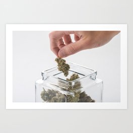 Bud Tender Art Print | Medicating, Cannabis, Photo, Medicine, Legal, Recreational, Aromatherapy, Medicinal, Dispensary 