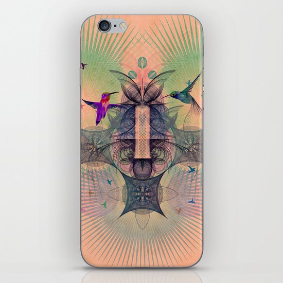 The Hummingbird Dimension iPhone & iPod Skin
