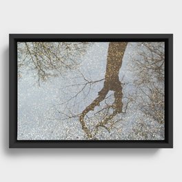 Reflection of trees in a water puddle on the road Framed Canvas