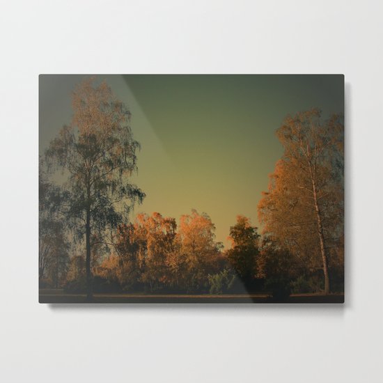 Lichtstimmung auf der Heide Metal Print
