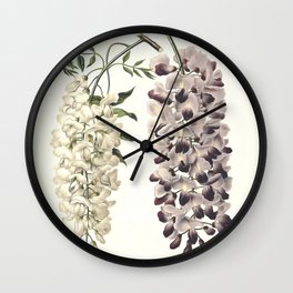 Wisteria Sinensis Botanical Art Isolated On White Wall Clock