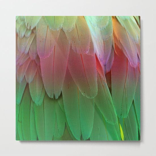 feather Metal Print