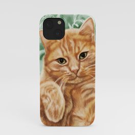 Soft and Purry Orange Tabby Cat iPhone Case