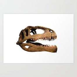 The skull of dinosaur Art Print | Animal 