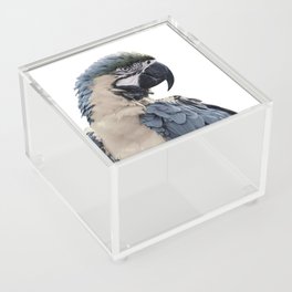 Blue Parrot Acrylic Box