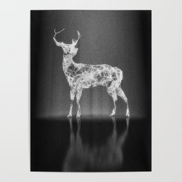 Deer in the Spotlight Poster