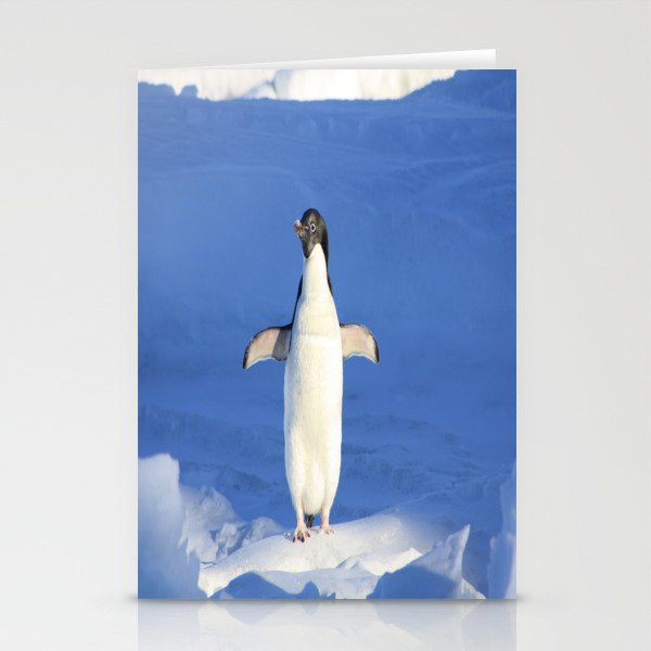 A Penguin Glide Stationery Cards